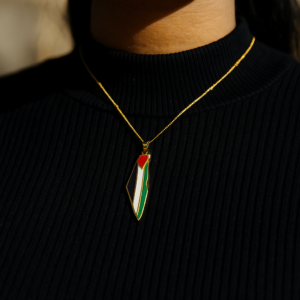 Collier Palestine pendentif carte – en acier inoxydable