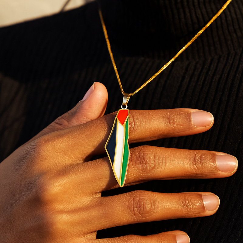 Collier Palestine pendentif carte – en acier inoxydable