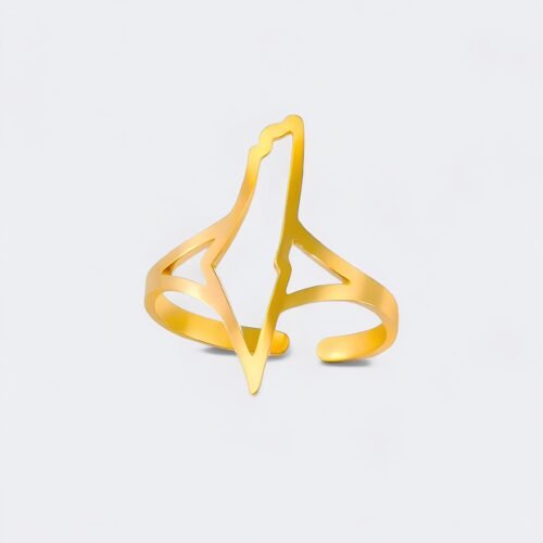 Bague Palestine carte complète – en acier inoxydable