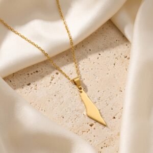 Collier Palestine carte pendentif plein - en acier inoxydable